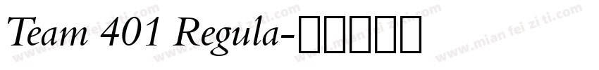 Team 401 Regula字体转换